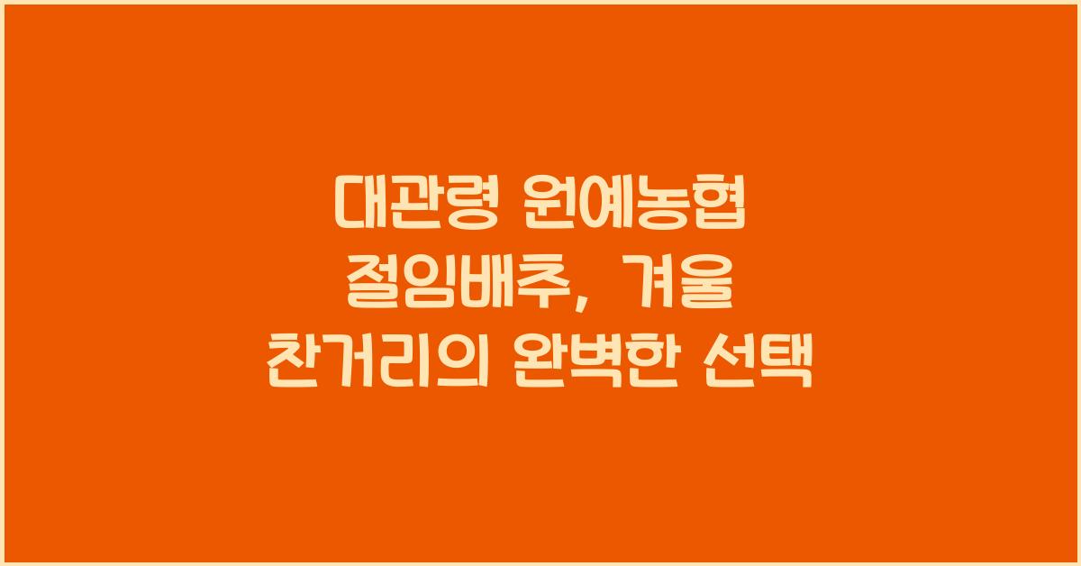 대관령 원예농협 절임배추