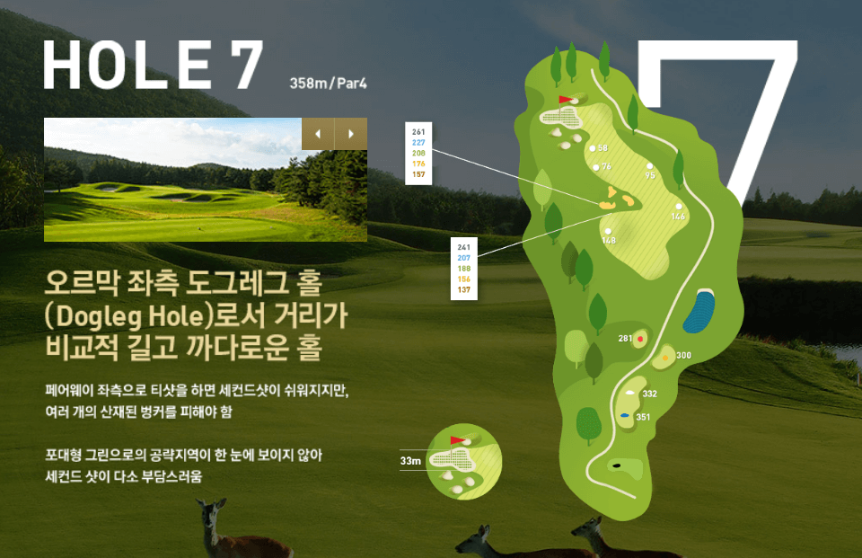 나인브릿지 CC의 코스 공략도 16