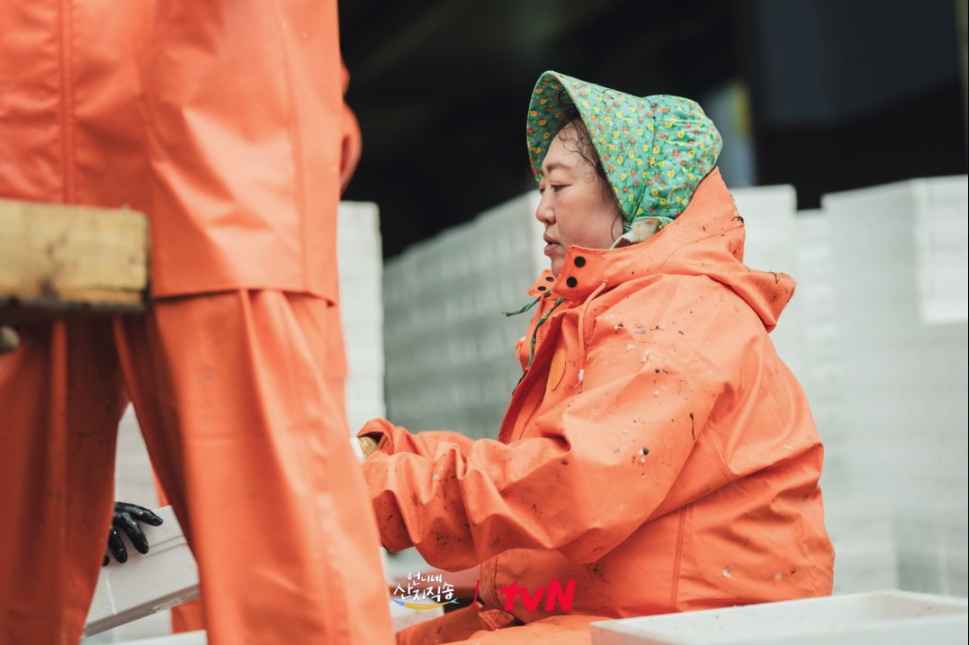 박준면 멸치 털이