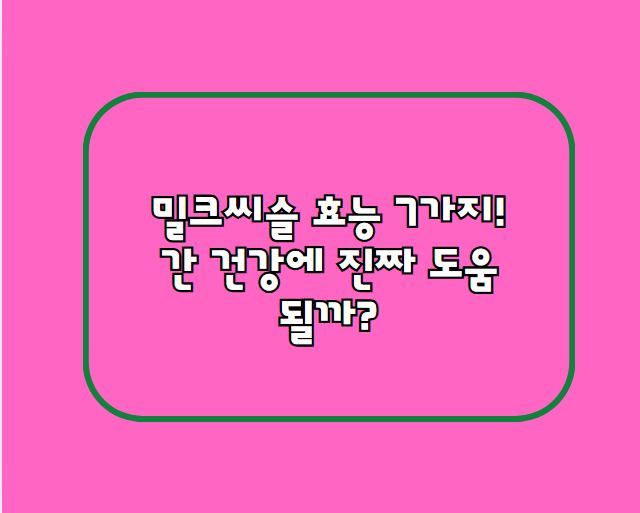 밀크씨슬 효능 7가지! 간 건강에 진짜 도움될까?