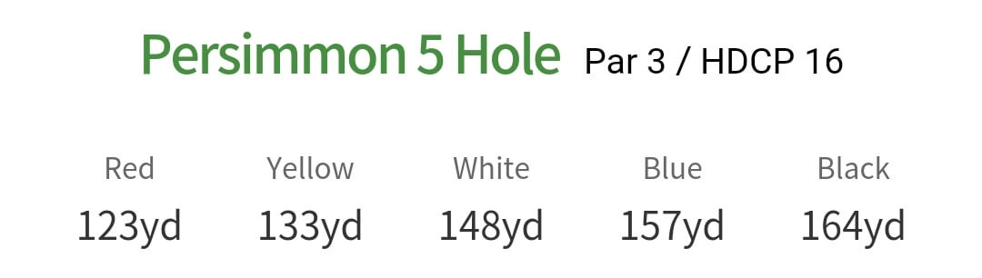 솔모로 컨트리클럽 퍼시몬코스 5