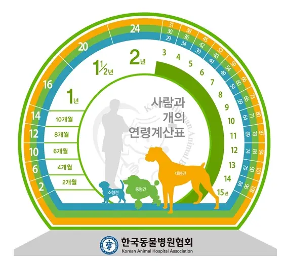 한국동물병원협회-강아지-나이-계산표