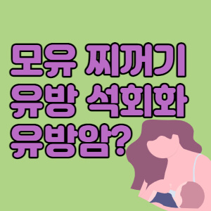 모유찌꺼기-유방석회화-유방암-관련성-대표섬네일