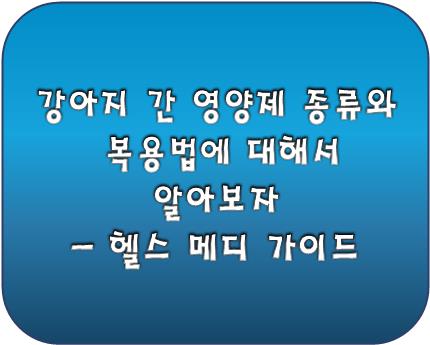 강아지 간 영양제 종류