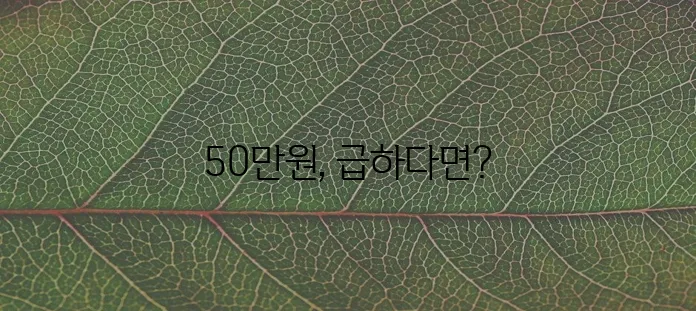 50만원 소액 대출, 지금 바로 확인해 보세요!