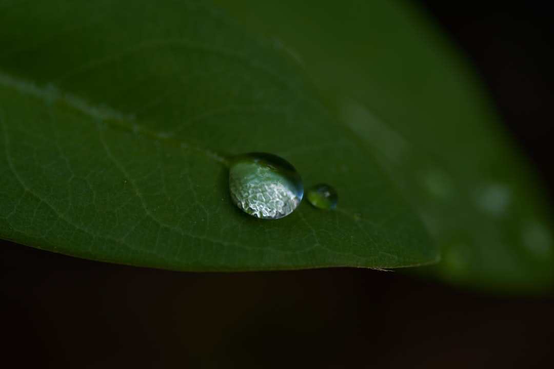 Moisture