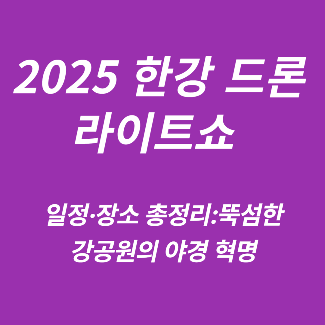 2025 한강 드론 라이트쇼