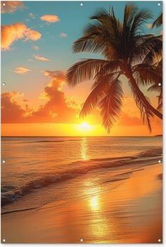 야자나무와-함께-바닷물에-황금빛처럼-비치는-태양