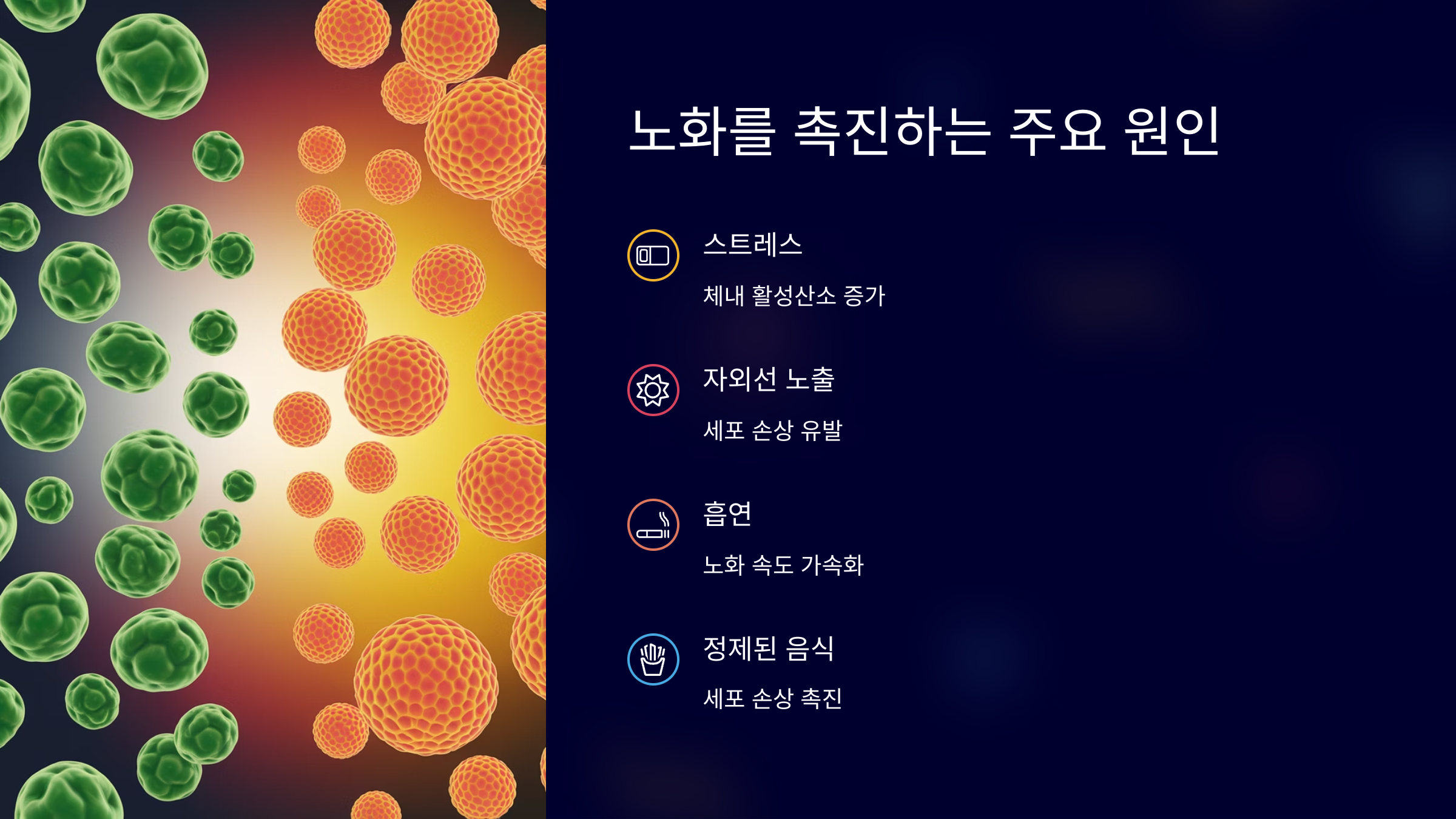 노화를 촉진하는 원인