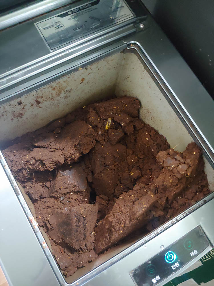 린클 미생물 상태 사진