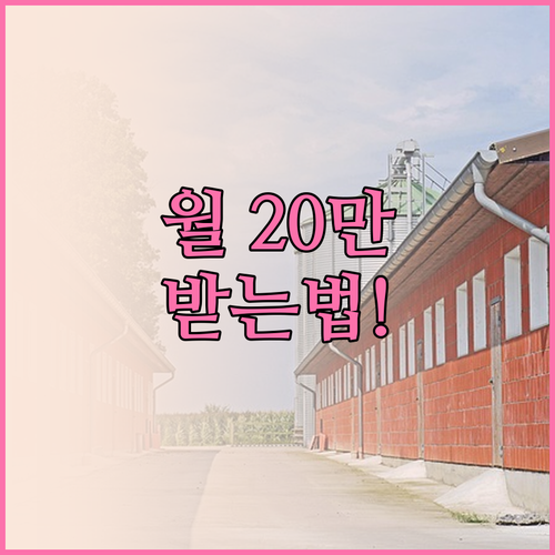 2026년 계룡시 청년월세 매월 받는..