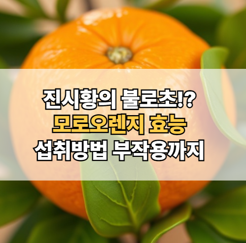 모로오렌지-효능-섭취방법-다이어트-효과-부작용
