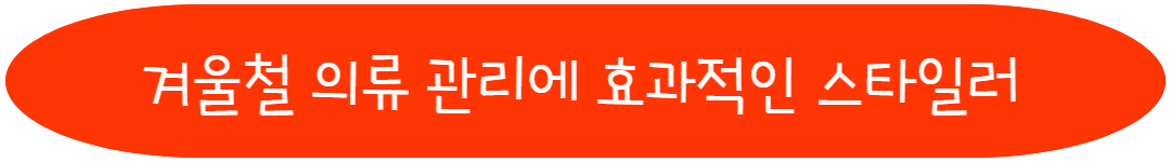 겨울철 의류 관리에 효과적인 스타일러
