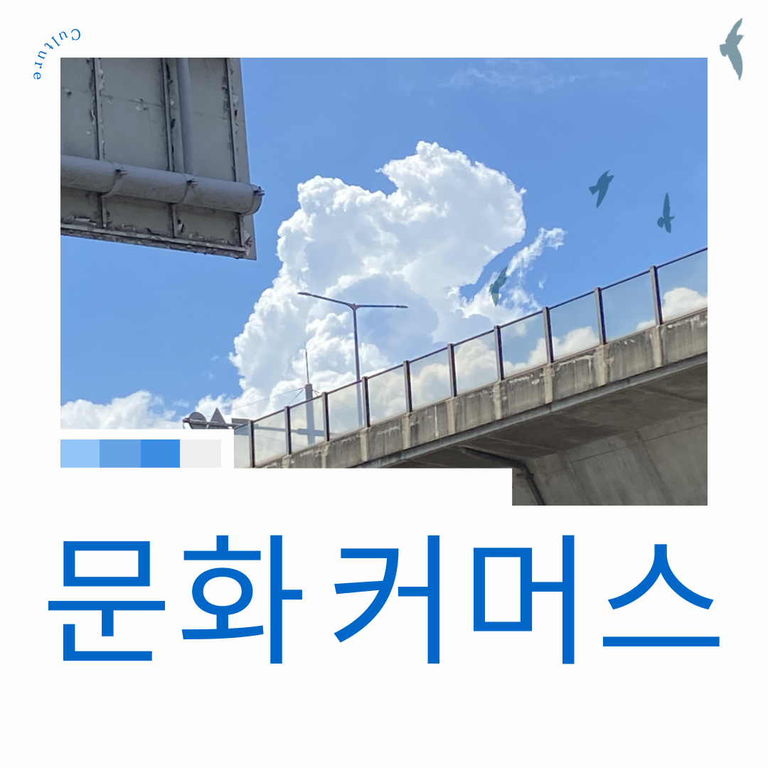 문화 커머스란 무엇인가, 소비에 감성을 더한 새로운 흐름