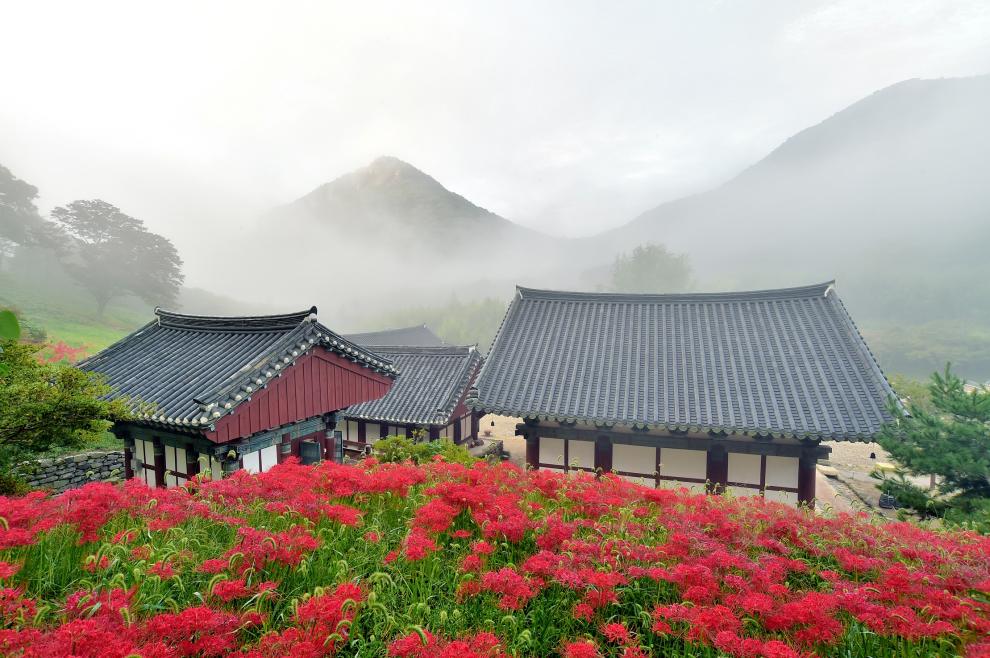 고창 가볼 만한 곳