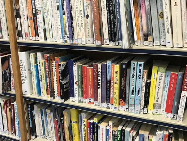 일산 도서관 사진