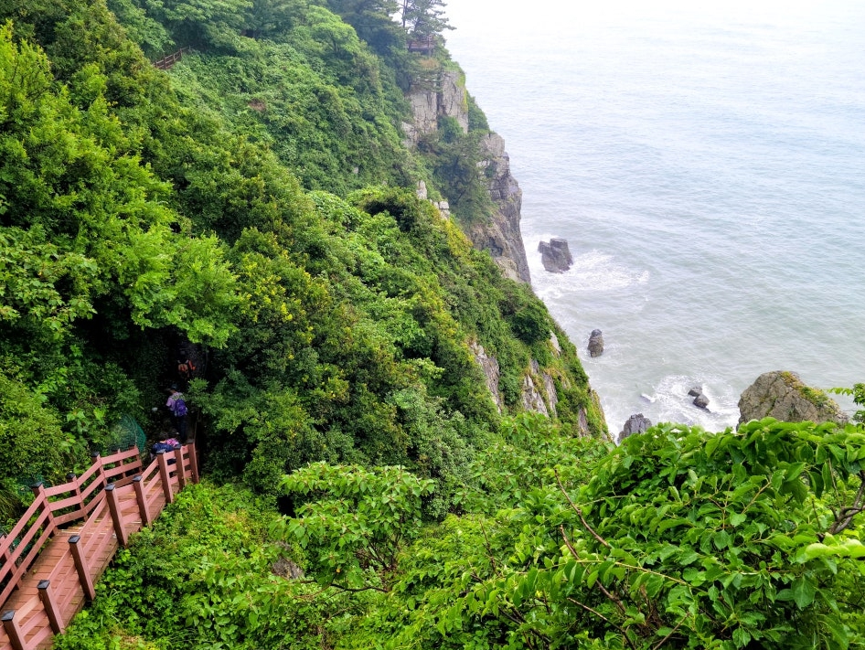 해안선과-푸른언덕