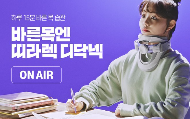 띠라렉 디닥넥 가격 구입처 후기