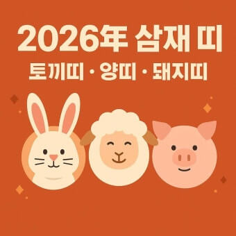 2026년 삼재띠