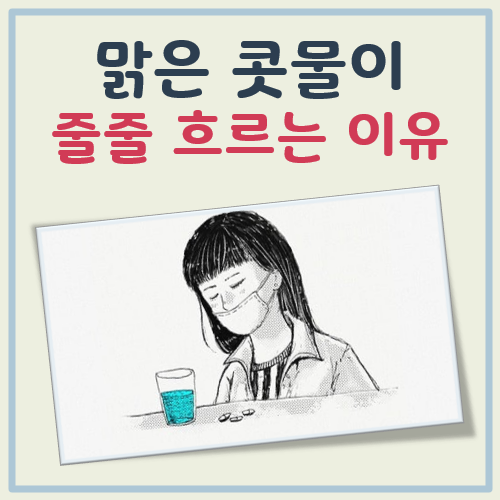 맑은 콧물이줄줄흘러내려요 대표 이미지