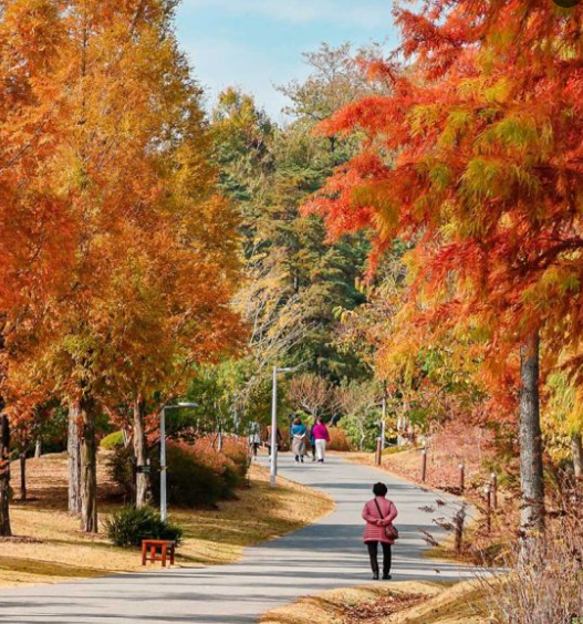 2025 가을 주왕산 단풍 절정 언제? 등산코스 추천 ❘ 청송 가을 여행