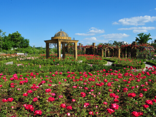 대전 아이랑 갈만한곳 수목원 나들이 장소 추천