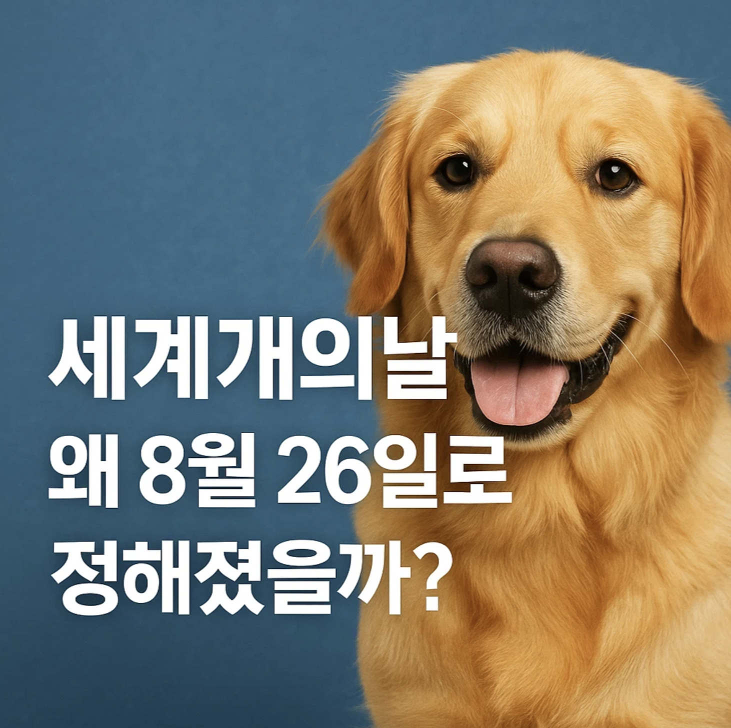 세계개의날, 왜 8월 26일로 정해졌을까?