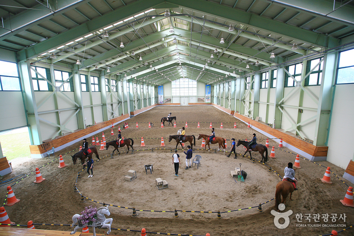 영천 가볼만한곳 베스트10