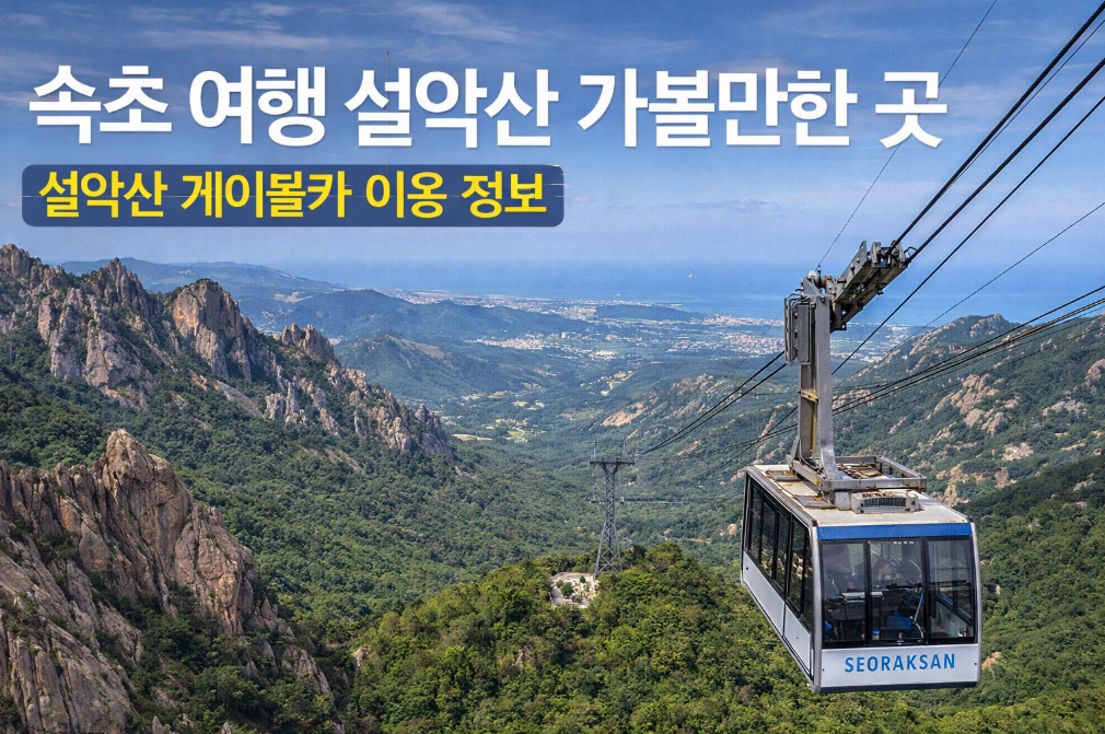 속초 설악산 케이블카 완벽 이용법