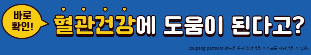 혈관건강
