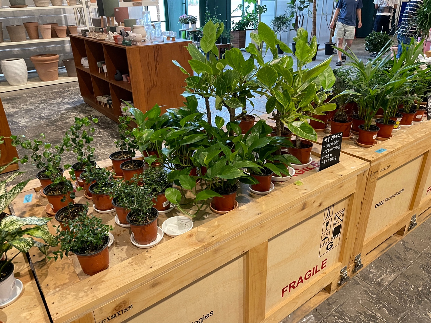 용인 식물원 베이커리 카페 어반리프