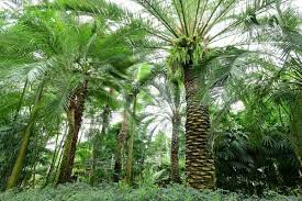 대전 가볼 만한 곳