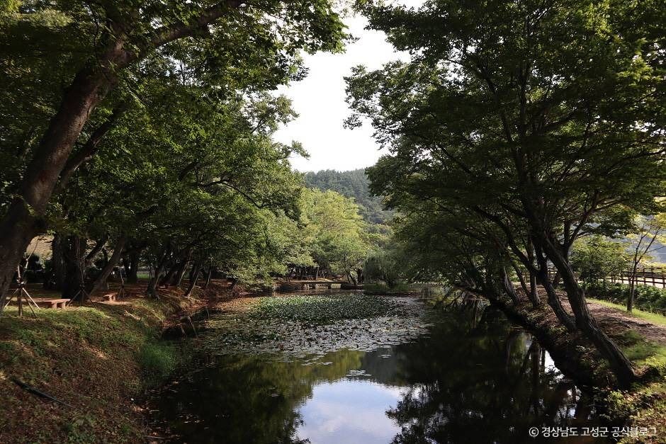 경남 고성 가볼만한곳 베스트10