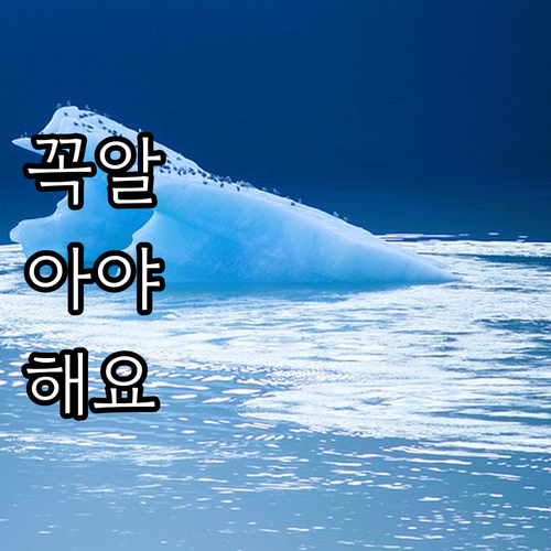 2025 완도군 장학금 지원 대상 신..