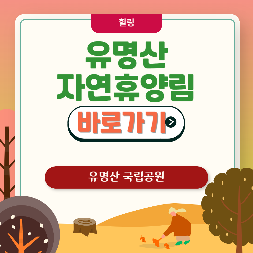 유명산 자연휴양림 및 등산코스 알아보기