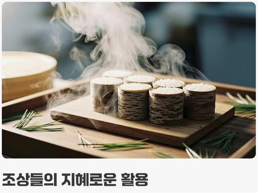 &amp;#39;송기&amp;#39;는 어떤 소나무일까?