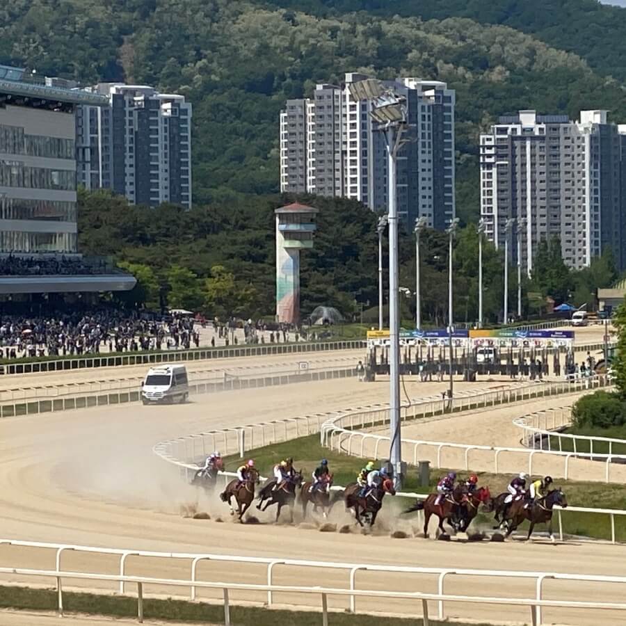 출발점을-막-떠난-경주마들이-힘차게-뛰고있는-모습