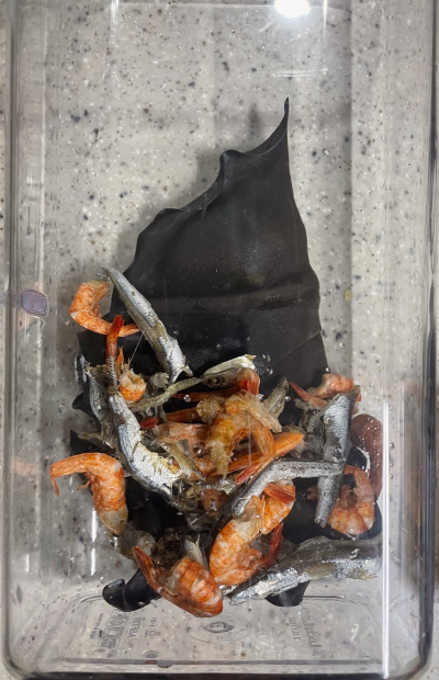 다시마 육수만들기