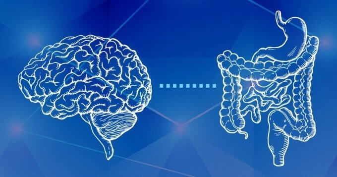 뇌와 장의 연결고리