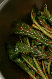 열무김치 맛있게 담그는법황금레시피