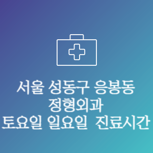 서울 성동구 응봉동 주말 토요일 일요일 문여는 병원 진료시간