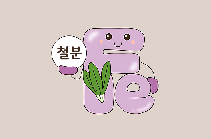 철분-흡수-촉진