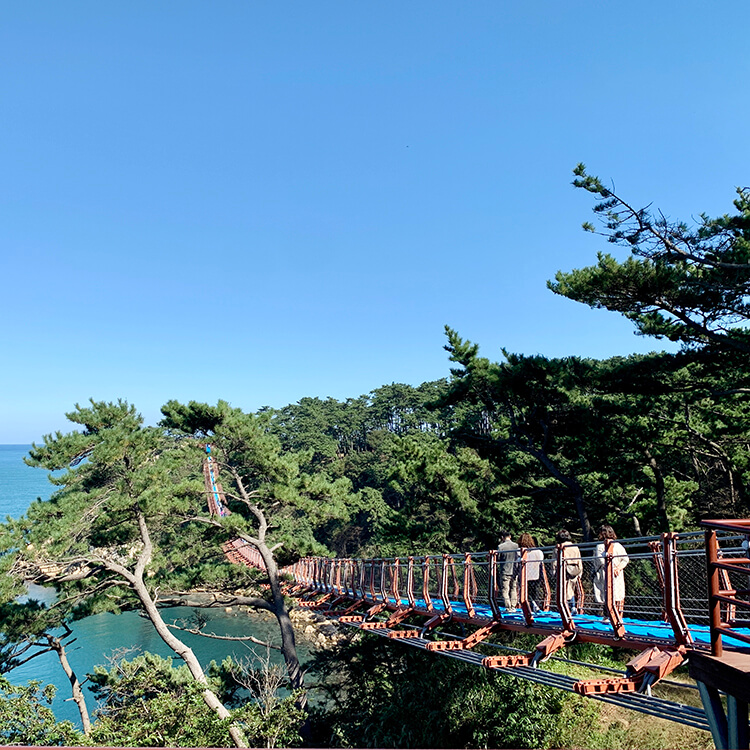 출렁다리에서-바라보는-대왕암공원-풍경