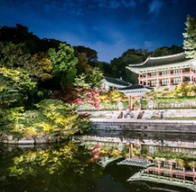 ์ฐฝ๋๊ถ ๋ฌ๋น๊ธฐํ ์๋งค