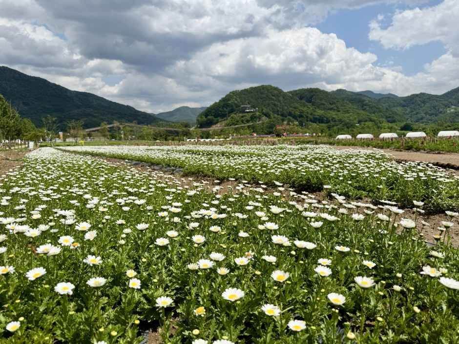 포천 한탄강 가든페스타 2026