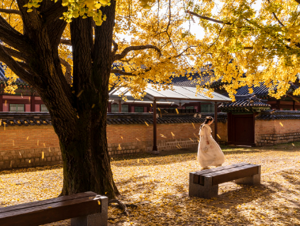 한국의 전통 놀이와 그 의미에 대한 소개