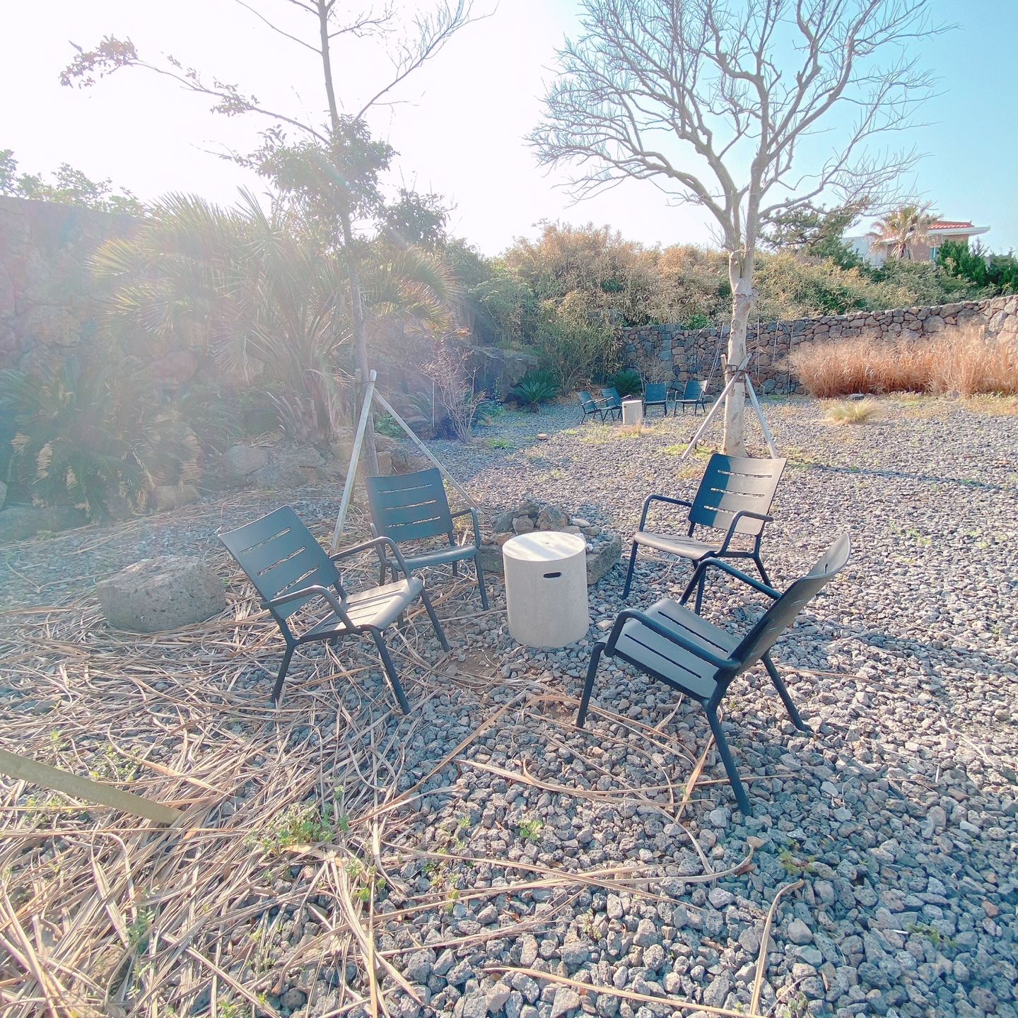 제주 닭머르해안길 초당옥수수 아이스크림 신촌 카페 점점