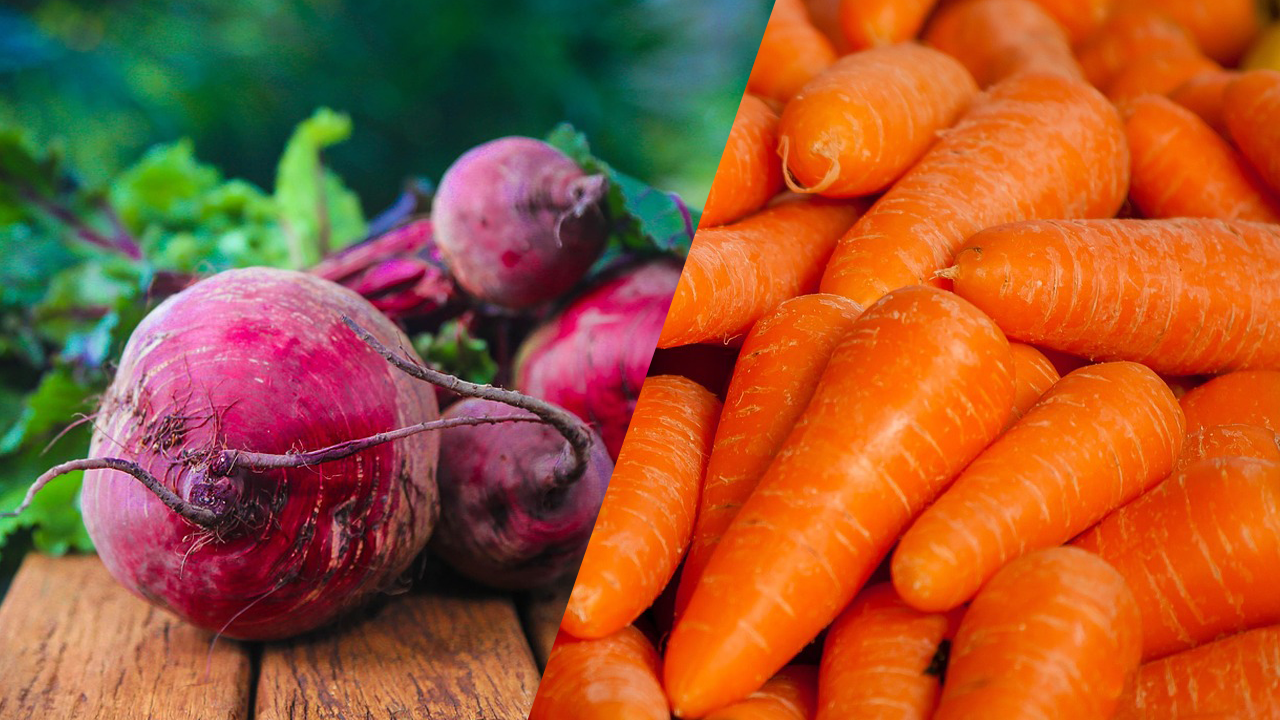 비트 사진, 당근 사진