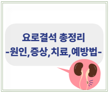 요로결석 &ndash; 원인, 증상, 치료, 예방법 총정리
