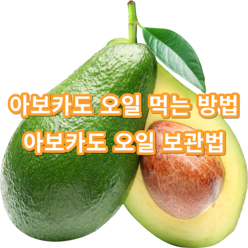 아보카도-오일-먹는-방법-및-보관법-건강